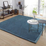 Household Japanese flannel rug